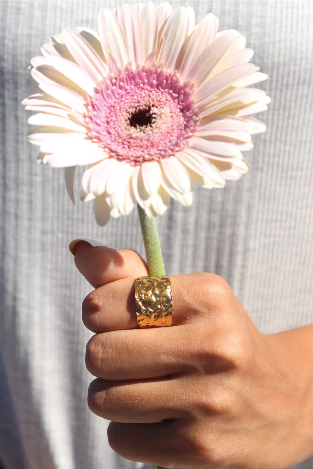 Anillo Rude