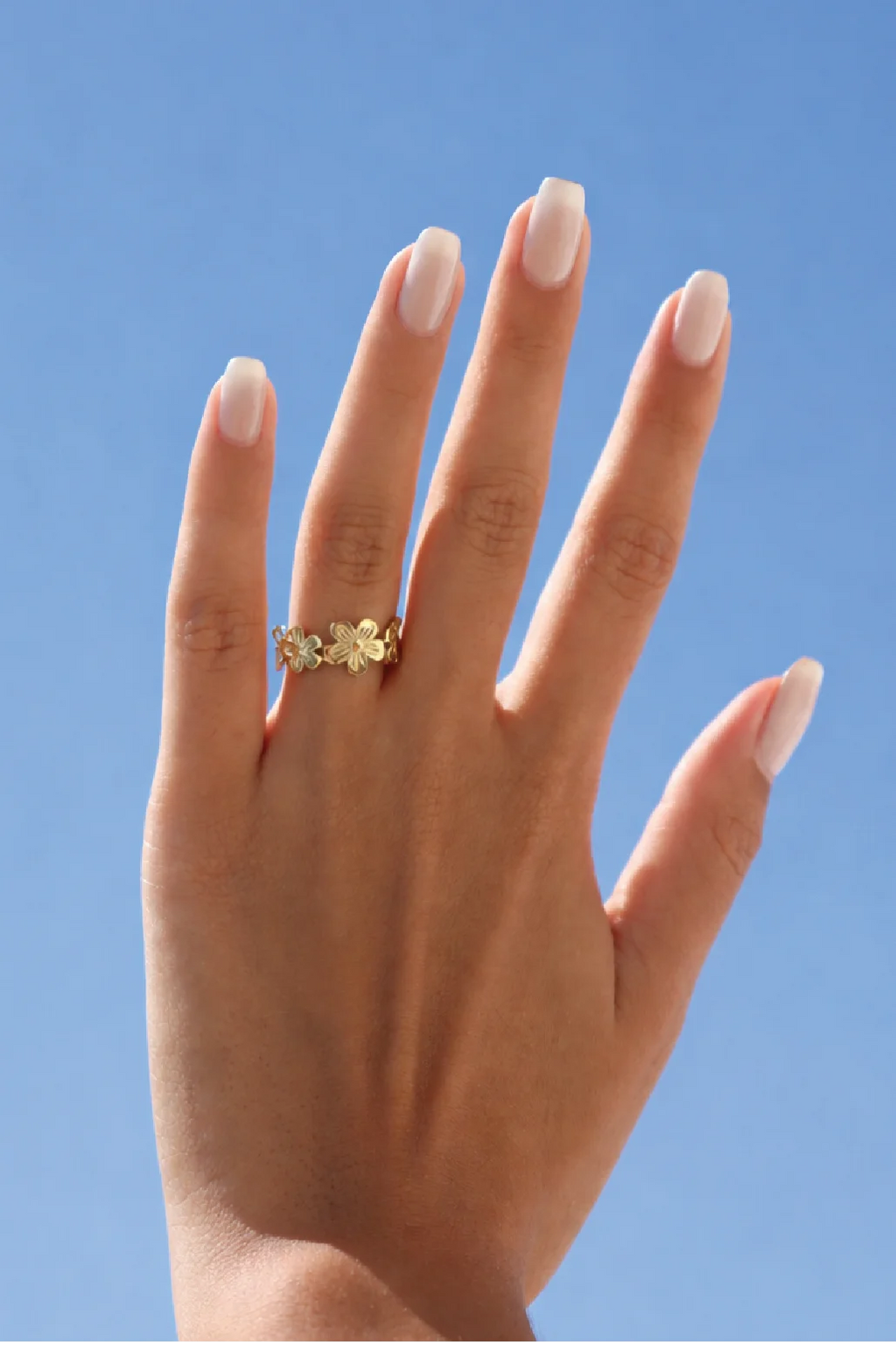Anillo Siena