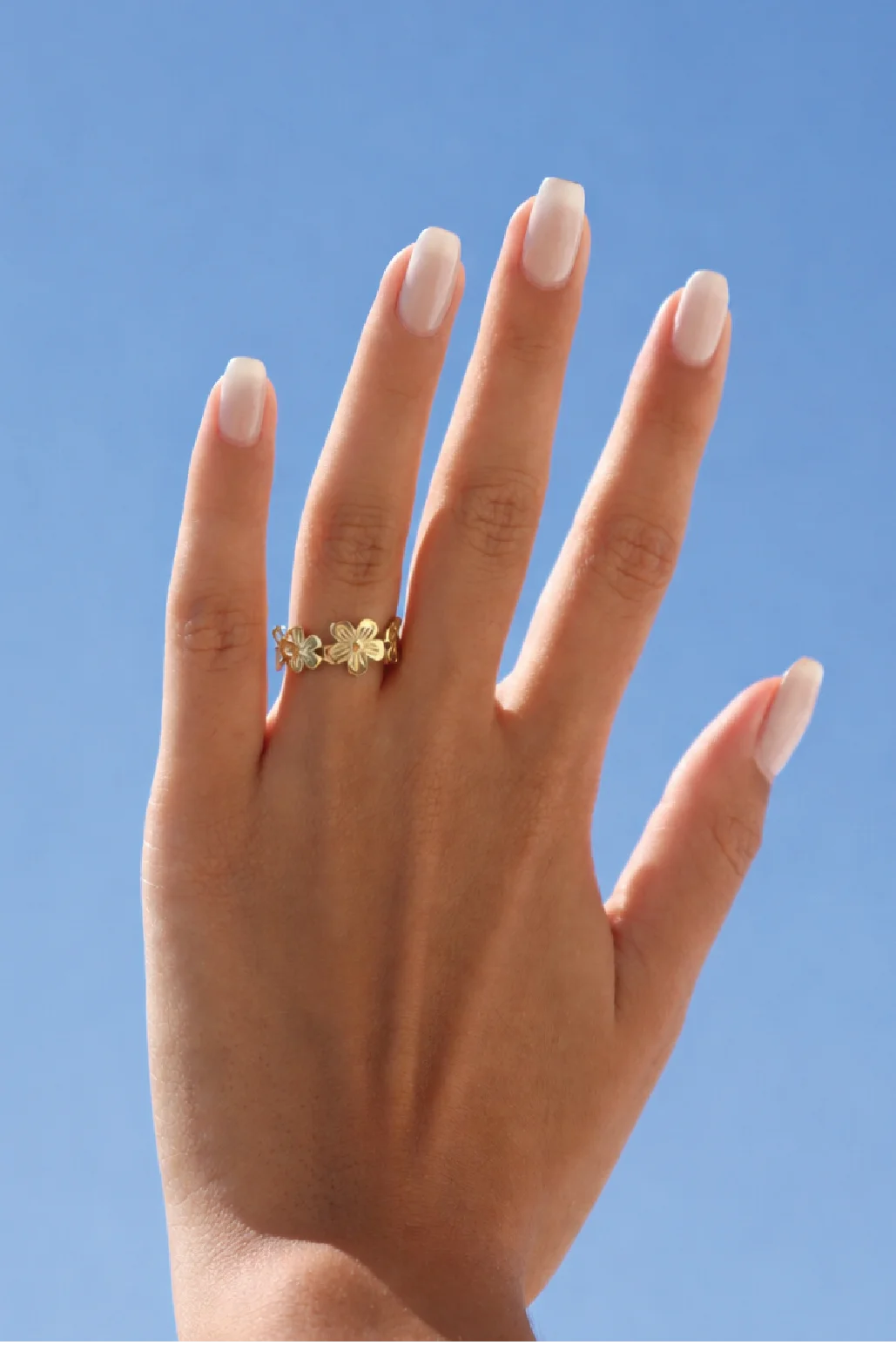 Anillo Siena